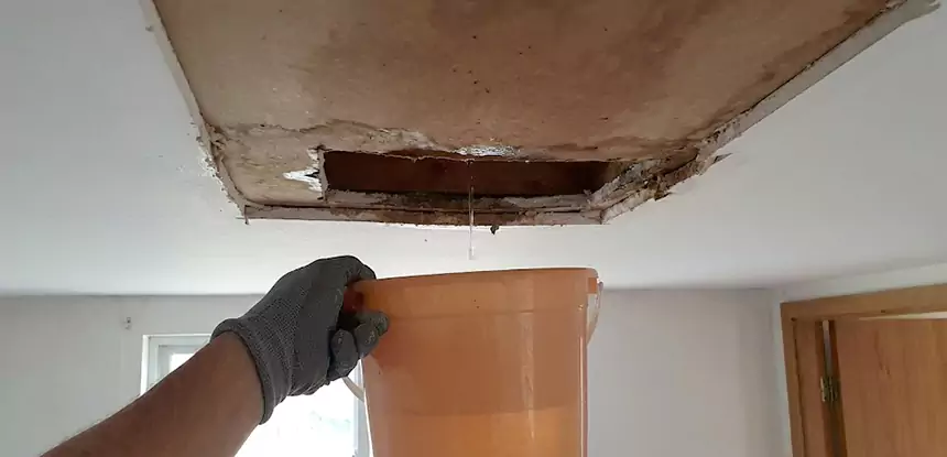 Ceiling Mold Repair Douglasville