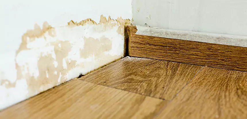 Professional Fix Water Damaged Wood Services in Douglasville, GA